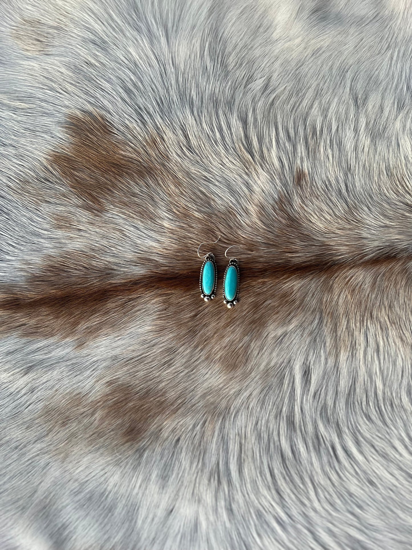 Canyon Waters Earrings
