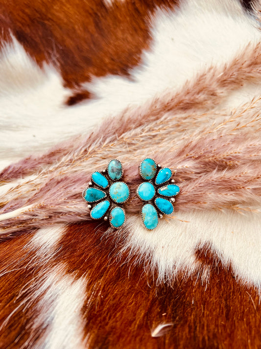 Desert Bloom Clusters