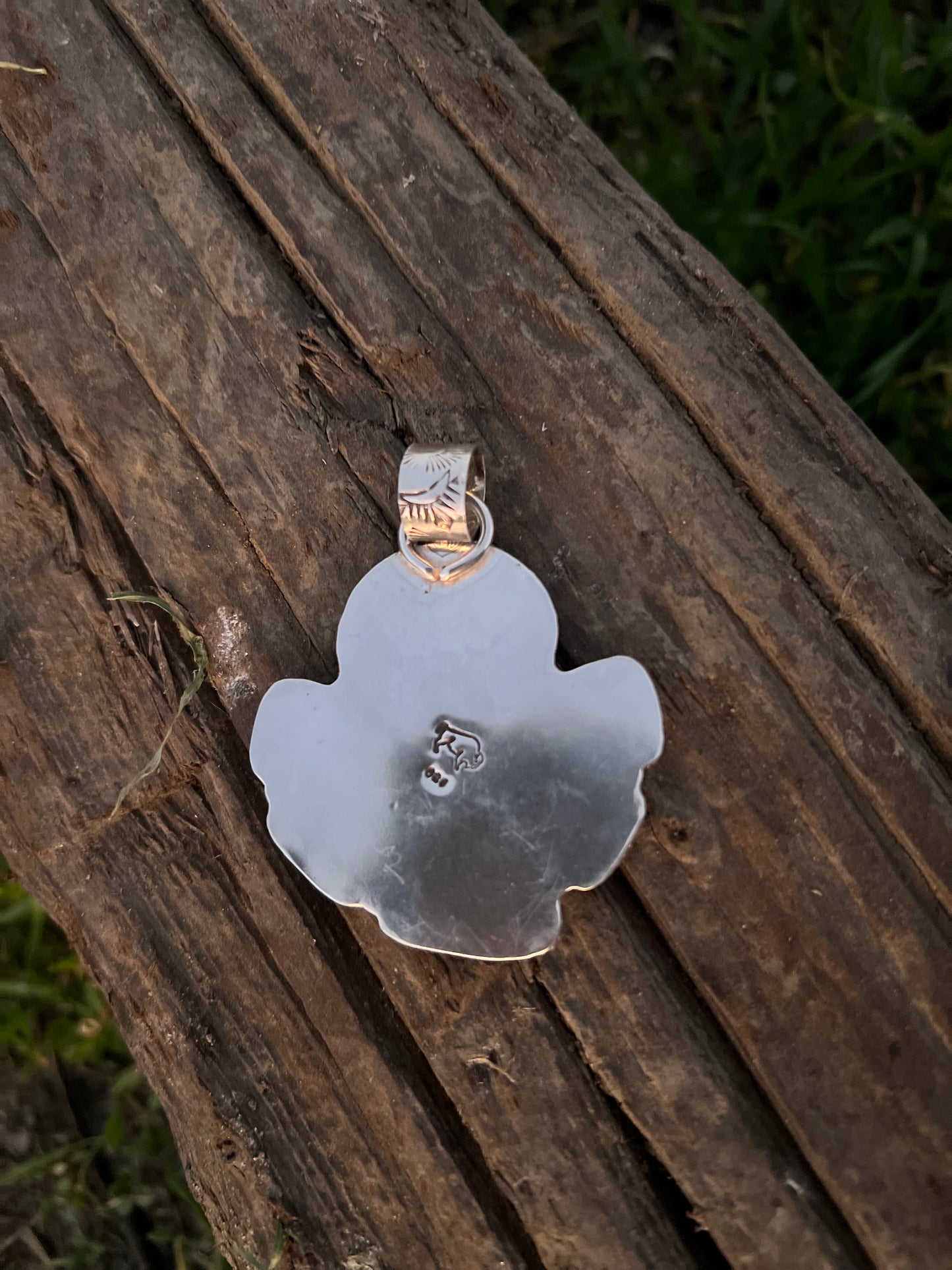 White Water Buffalo Coin