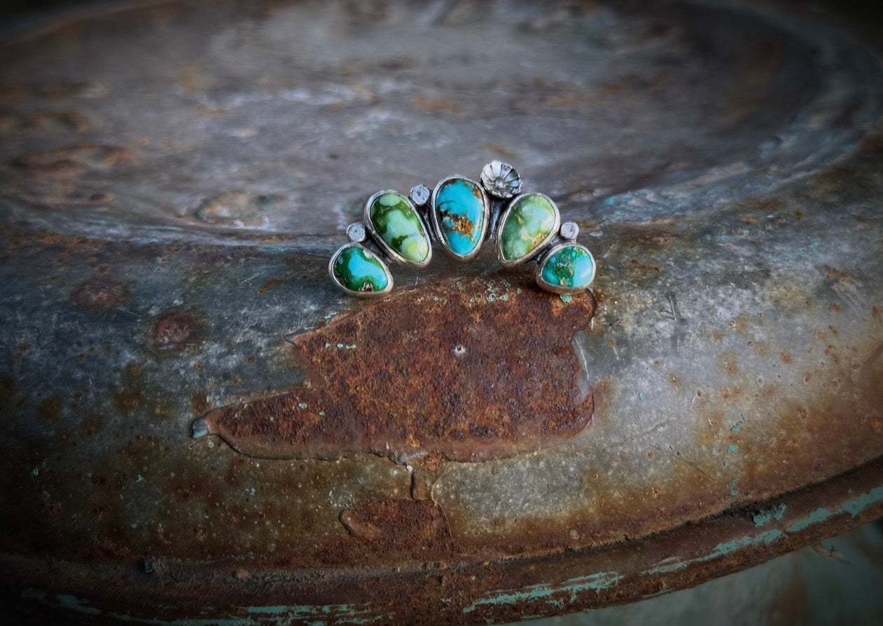 Sonoran Gold Ear Crawler