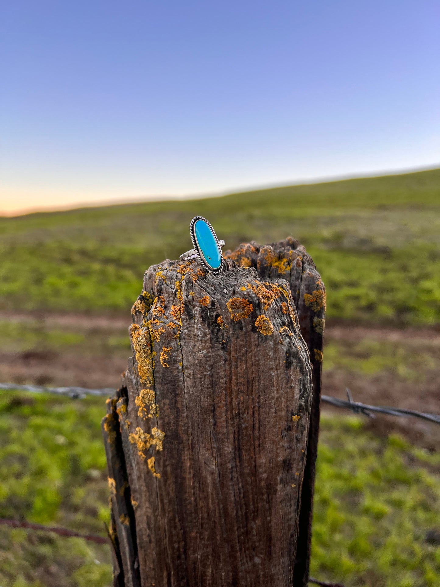 Kingman Turquoise Ropers Ring